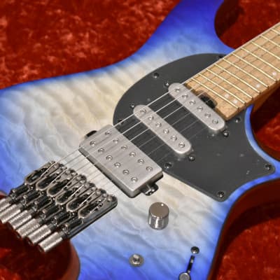 FERNANDES/BURNY / BSV-155J #PCK63M | eBay