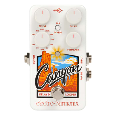Electro Harmonix Canyon Delay & Looper image 2