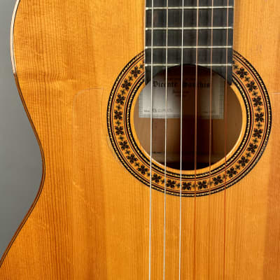 Vicente Sanchis Flamenco Guitar 2000 image 11