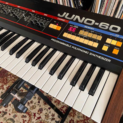 Roland Juno-60 – Vintage Analog-Synthesizer image 2