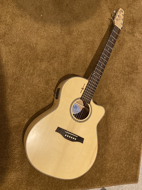 Electric Acoustic Guitar Seagull Natural Elements CW Folk SG