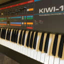 Roland Juno-106 - Excellent Condition - Kiwi Upgrade! - Overlay