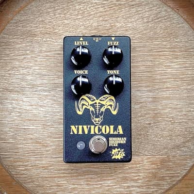 Nivicola - Wonderful Audio Technology imagen 1