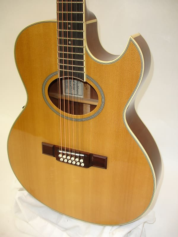 Washburn EA20 Festival Series 12-String Acoustic Electric