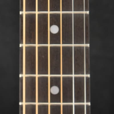 National NRP Steel 14-Fret Resonator Rubbed Finish with Sieve Hole Coverplate image 9