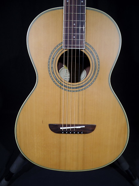 Washburn wp21sens sale