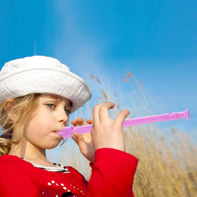12 Pack 8 Hole Soprano Recorders Descant Flute With Cleaning Rod German Style For Chrildren Kids Beginner Graduation Or Back To School Gift (Pink) image 6
