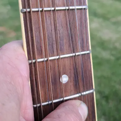 🎵🎸 Carlo Robelli 12 String Acoustic 2000s Black 🎸🎵 image 5