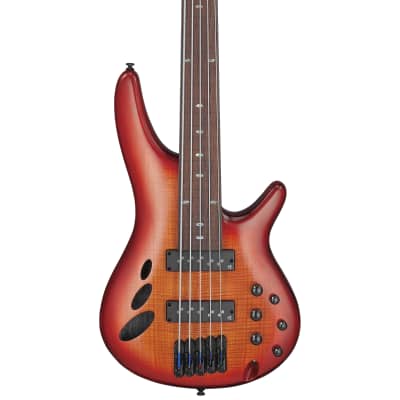Ibanez Bass Workshop SRD905F Fretless 5-String Bass - Brown Topaz Burst image 4