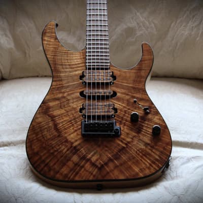 Schecter USA Custom Shop Masterworks Banshee Exotic 2018 image 1