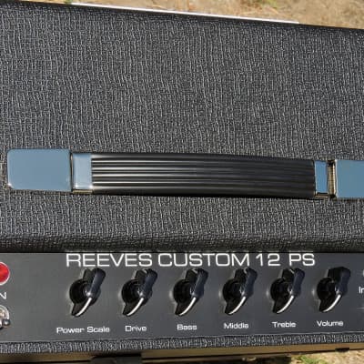 Reeves Custom 12 PS combo - 2018 image 6