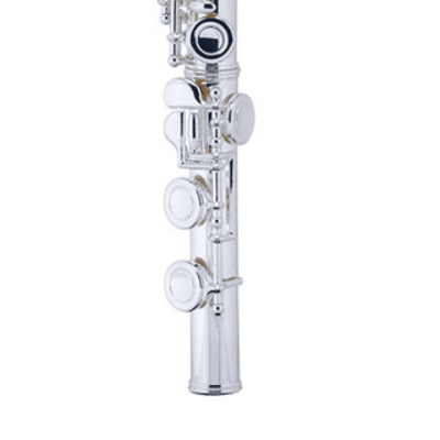 Armstrong Model 104 C Foot Flute image 1