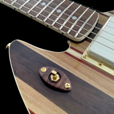 JD Guitars 2023 Neptune-6 image 9