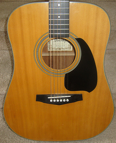 Ibanez pf6 shop