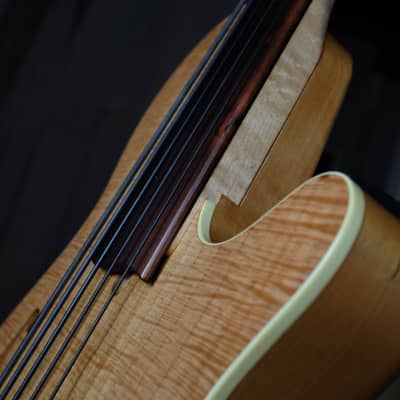 Rob Allen Guitars Deep 5 fretless bass guitar w G&G OHSC (7.5 pounds, Brazilian rosewood) image 14