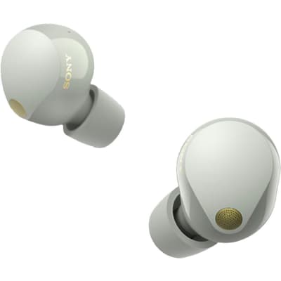 Sony Noise Canceling Truly Wireless Earbuds, Silver + Accessories + Warranty Bundle image 4