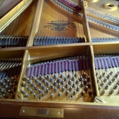 Mason & Hamlin BB 1980s - Walnut image 2