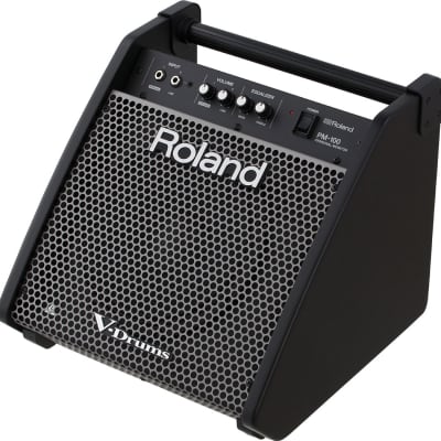 Roland Personal Monitor PM-100 for sale