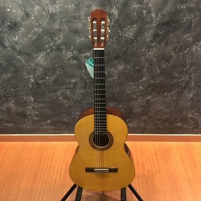 Takamine G124S Natural Finish Classical Guitar for sale