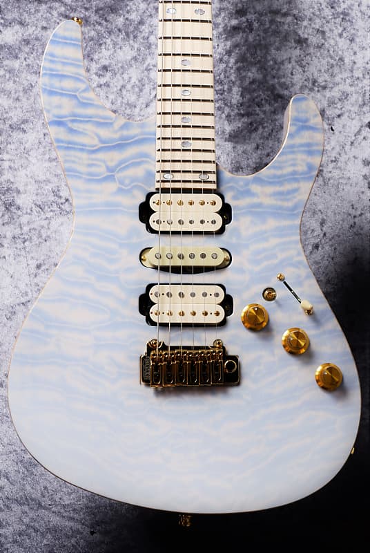 Freedom Custom Guitar Research Hydra 24F 2Point Premium