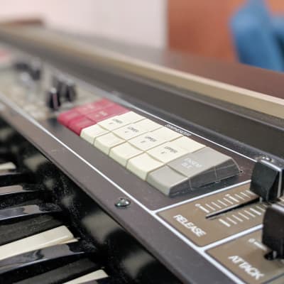 Roland RS-505 Paraphonic 49-Key Synthesizer 1970s Black image 6