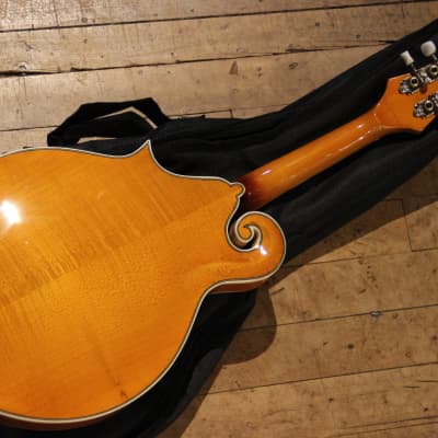 Rover RM-75 Deluxe Student F-Model Mandolin Flamed Maple image 5