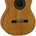 Alvarez AC65 Acoustic Guitar