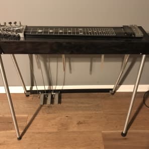 Carter Starter E9 10弦 ペダルスチールギター ケース・備品付 Carter Starter E9 10弦 ペダルスチールギター ケース・備品付