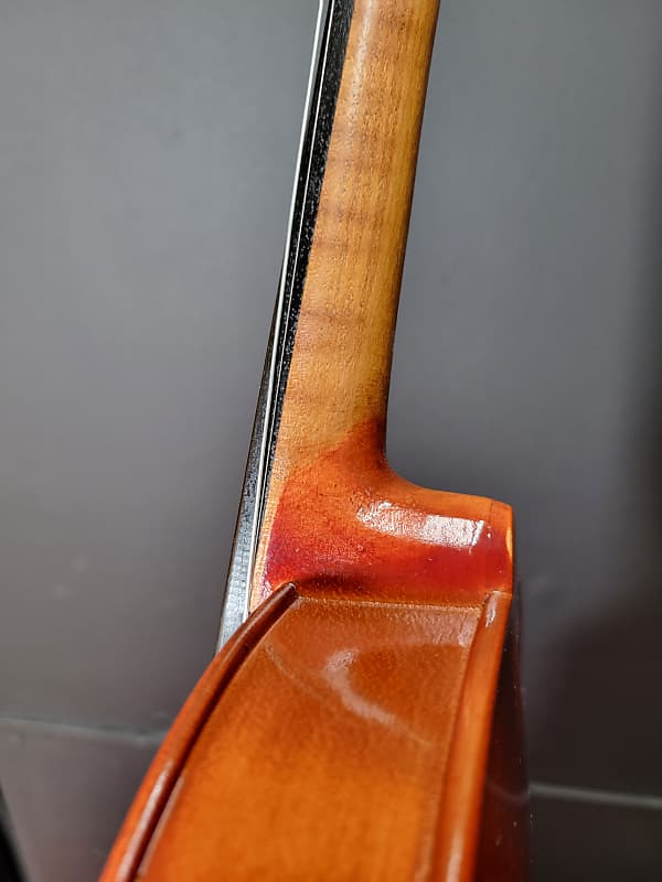 Roderich Paesold 801 4/4 Violin | Reverb
