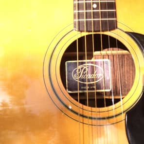 Picador  Acoustic D-28  by Martin 1970's  ~ Natural image 4