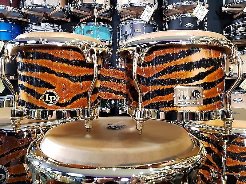 Latin Percussion Raul Rekow Signature Bongos in Tiger Print Finish w/ Gold  Hardware