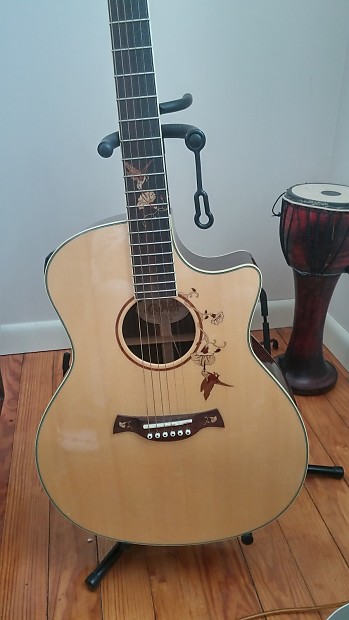 Crafter twin bird guitar top