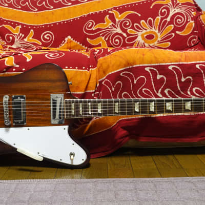 【希少】Burny FireBird FB-120 ファイヤーバード Burny FB-120 Firebird 1973 - Sunburst MIJ | Reverb