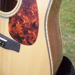 Short Mountain Avalanche 12 string 2016 nitrocellulose lacquer finish image 16