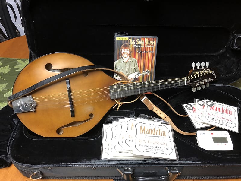 Gibson A9 Mandolin 2000’s Brown Reverb