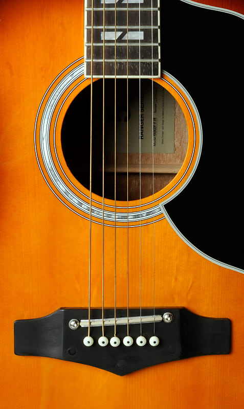 シ*ン様 エレアコ　EKO Ranger VI VR　Honey Burst E Eko Ranger VI VR Honey Burst - 15100138