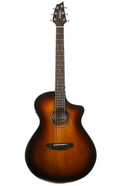 Breedlove Discovery Dreadnought CE image 2