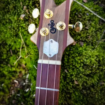 Immagine HighBird Handcrafted Instruments - Northern Goshawk - Custom 3 String Acoustic/Electric Cigar Box Guitar (CBG) - 2022 - 11