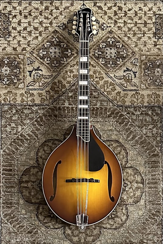 Eastman MDO605GB Octave Mandolin in Gold Burst w/ Gig Bag, Reverb