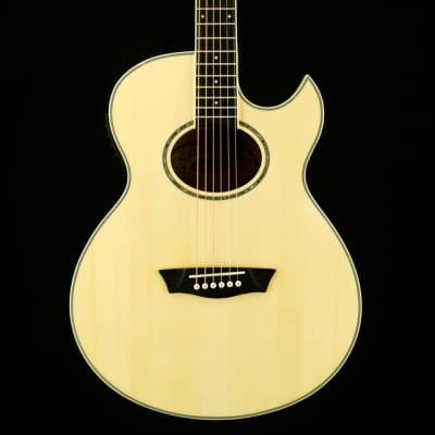 Washburn EA20 Festival Series Acoustic Electric Guitar