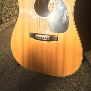 Vintage 1973 Fender F-95 Acoustic w/Used Chipboard Case | Reverb