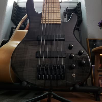 Wolf S11 2019 - Trans black flame for sale
