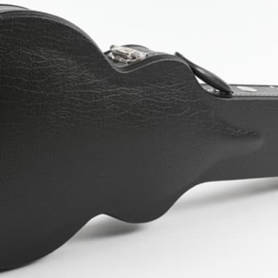 Allen Eden Arch Top Les Paul Black Hard Shell Guitar Case image 6