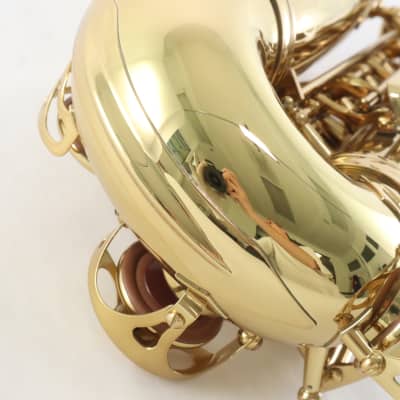 Eastman Model EAS850 Professional Alto Saxophone 'Rue Saint-Georges' GORGEOUS image 10