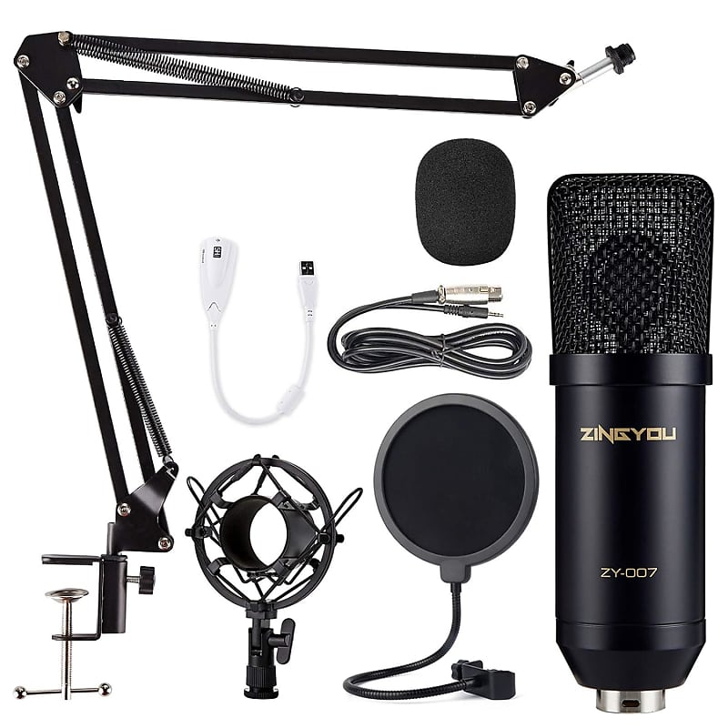 Condenser Microphone Computer Mic Kit Professional Studio | Reverb