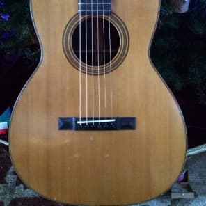 Martin 00-21 1901 - Stunning Brazilian Rosewood (Steel Fitted) image 3