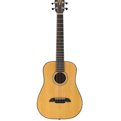 Alvarez RT26 Travel Sized Acoustic Guitar w/ Gigbag for sale