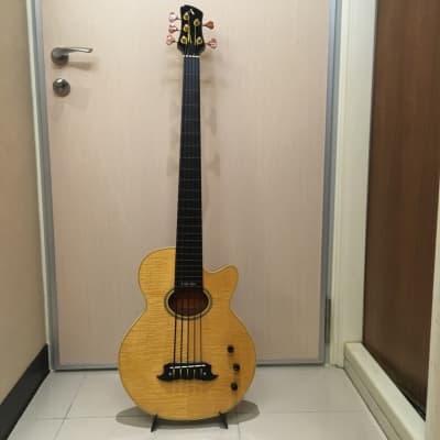 Athlete Acoustic Fretless 5-string Bass for sale