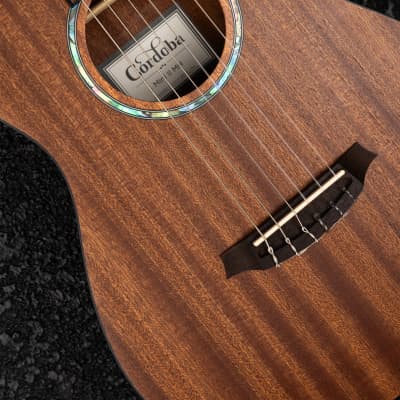 Cordoba Mini II Acoustic Guitar -Mahogany image 5