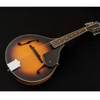 Washburn M1S-A | A-Style Mandolin with Solid Spruce Top. New with Full Warranty! image 4